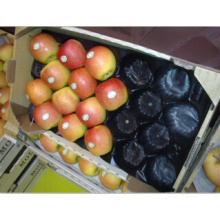 100% Food-Grade PP Standard Factory Size Fresh Apple Fruit Packaging Best Selling in Europe Market